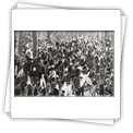 Immagine storica dellinfestazione di Opuntia sp. in Australia