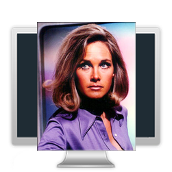 Col. Virginia Lake (Wanda Ventham)